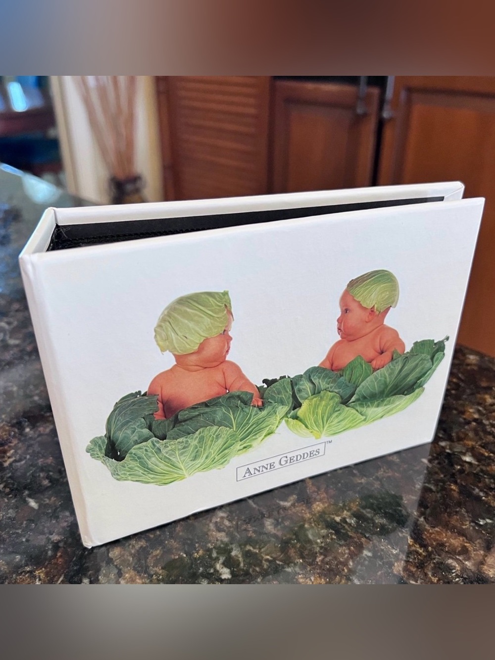 Vintage Anne Geddes Babies In Cabbage Photo Album
